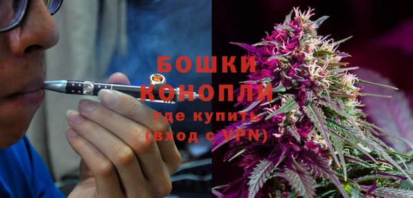 ГАЛЛЮЦИНОГЕННЫЕ ГРИБЫ Медногорск