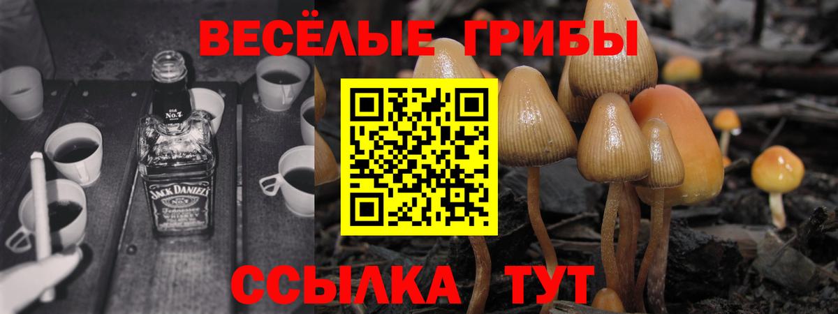 Псилоцибиновые грибы прущие грибы  Новокубанск  Галлюциногенные грибы MAGIC MUSHROOMS 